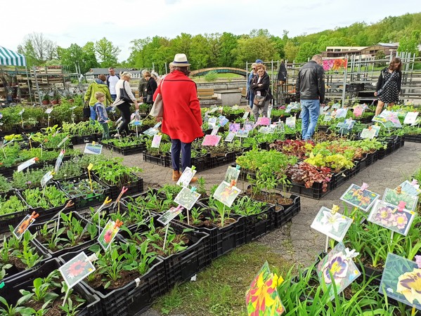 Zbliża się jesienna edycja Parkowego Kiermaszu Kwiatowego
