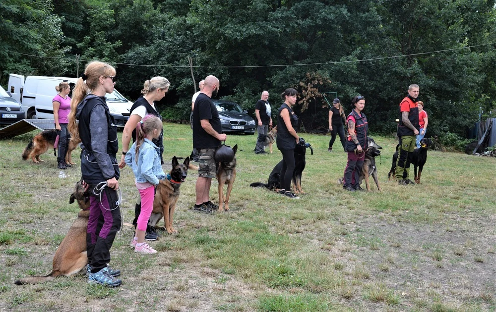 Otwarte Mistrzostwa Śląska psów obronnych w Zabrzu