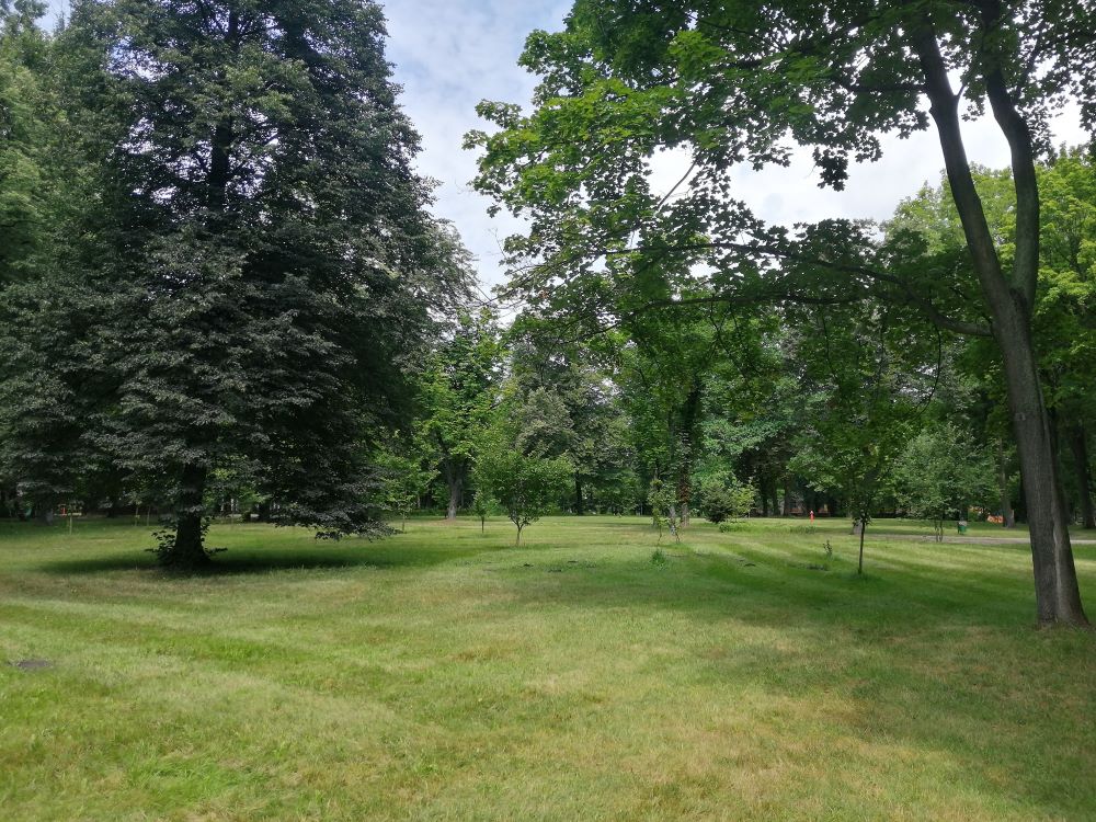 Rewitalizacja Parku Hutniczego coraz bliżej!