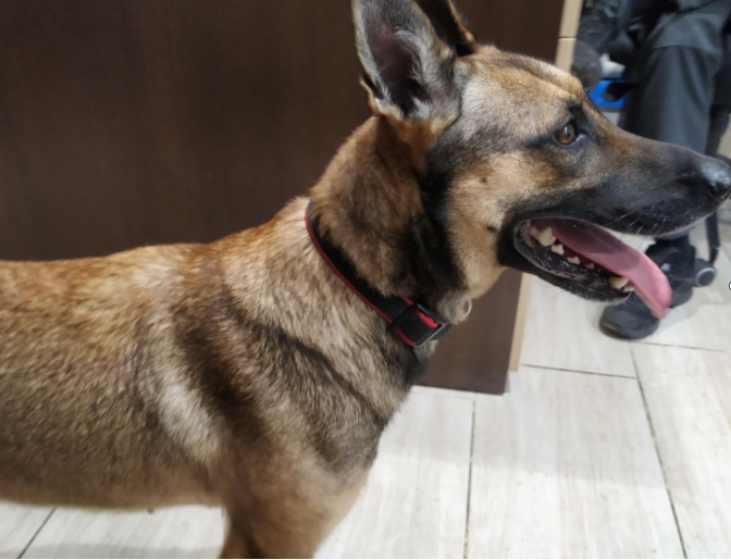 Nowy funkcjonariusz w Zakładzie Karnym w Zabrzu