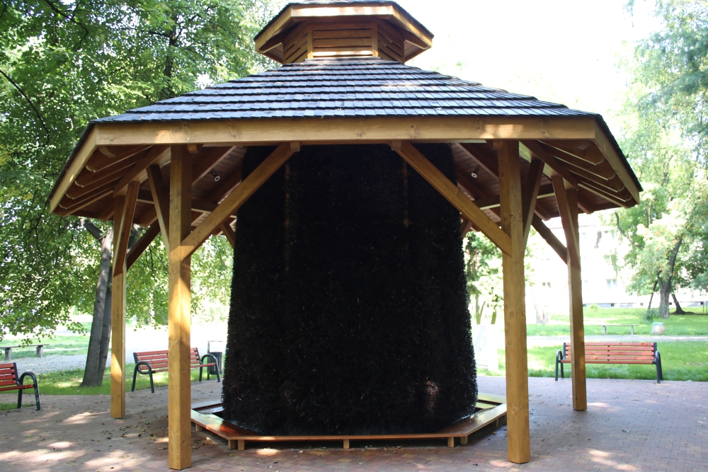 Tężnia solankowa już działa