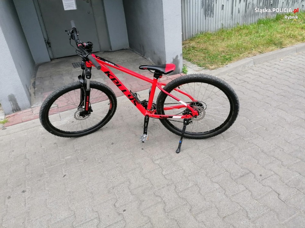 Paser z zarzutami i złodziej rowerów zatrzymany