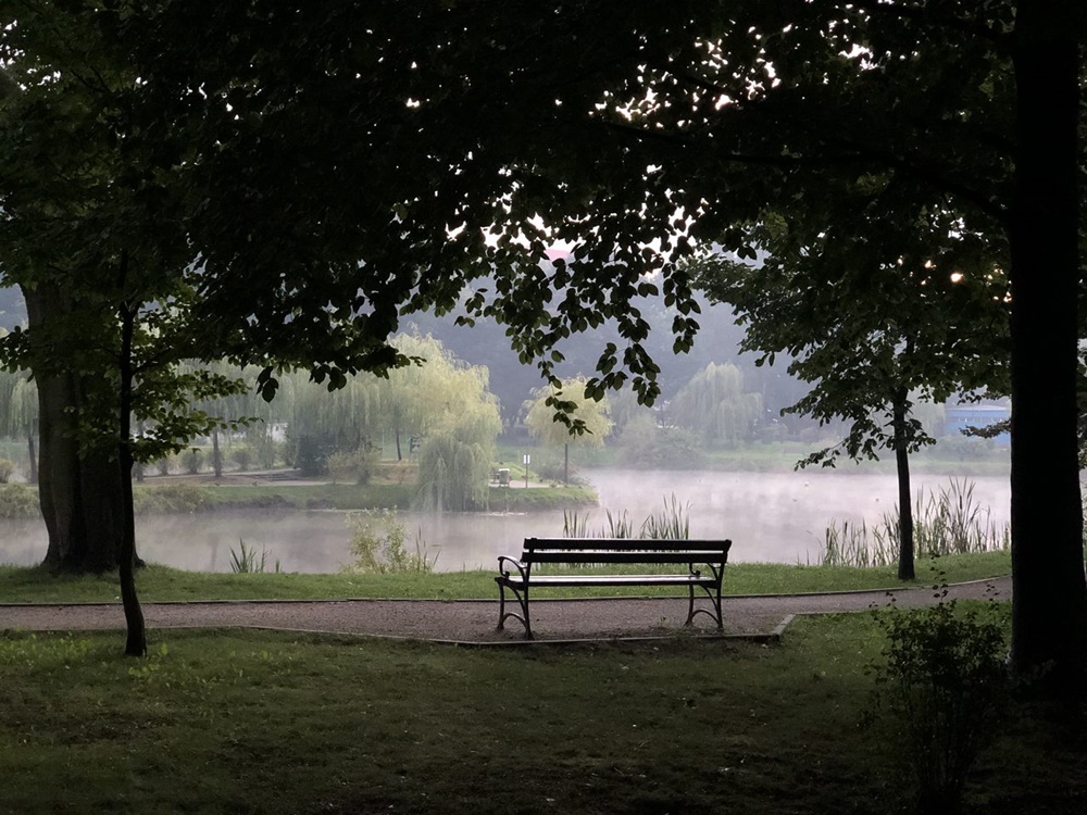 Akcja deratyzacyjna w Parku Miejskim