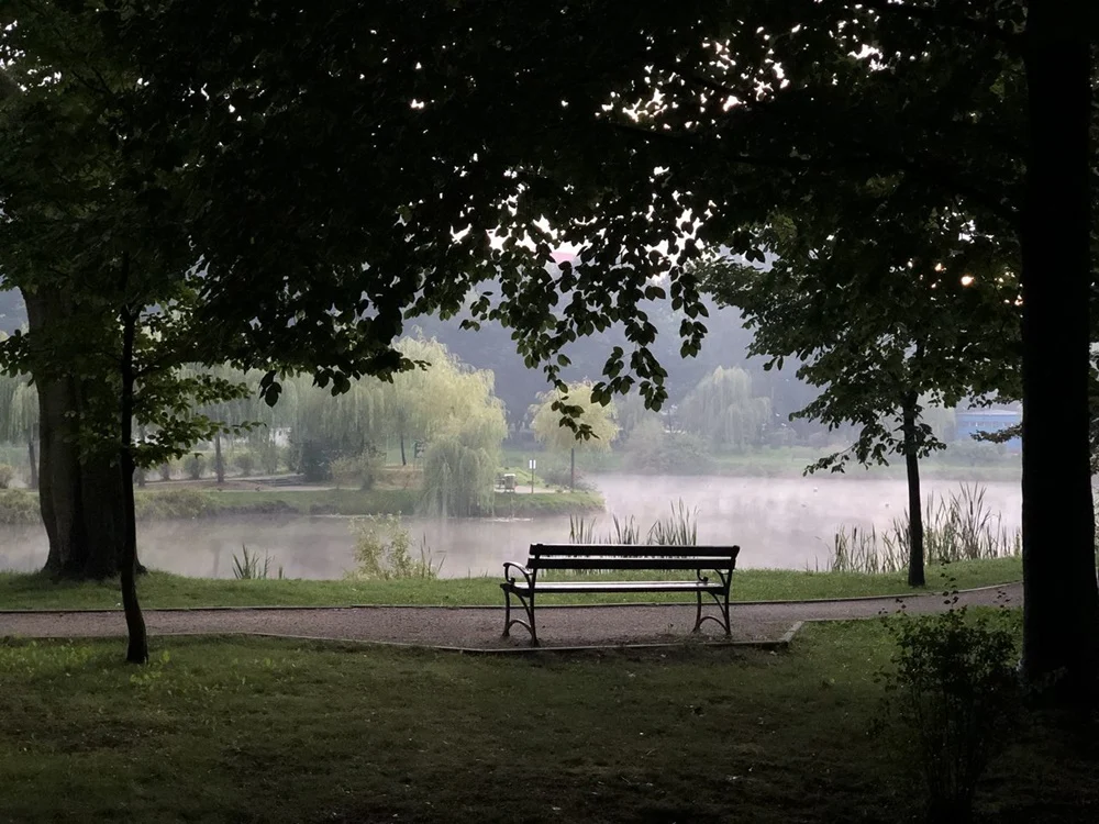 Akcja deratyzacyjna w Parku Miejskim