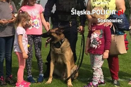 Pies policyjny pomagał uczyć dzieci o bezpieczeństwie podczas pikniku 11