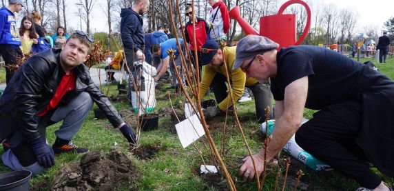 Inauguracja Święta Drzewa już 20 września
