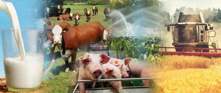 Niewiele czasu zostało na ubieganie się o wsparcie na modernizację gospodarstw