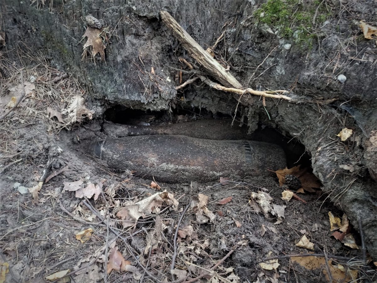 Niecodzienne znalezisko. Grzybiarz znalazł w lesie pocisk z II Wojny Światowej