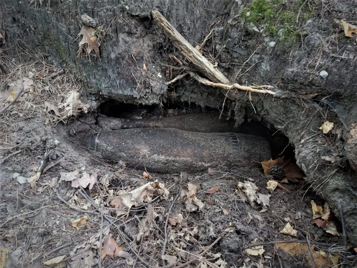 Niecodzienne znalezisko. Grzybiarz znalazł w lesie pocisk z II Wojny Światowej