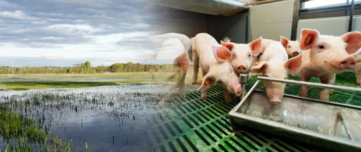 Inwestycje zapobiegające zniszczeniu potencjału produkcji rolnej – wkrótce rusza nabór 