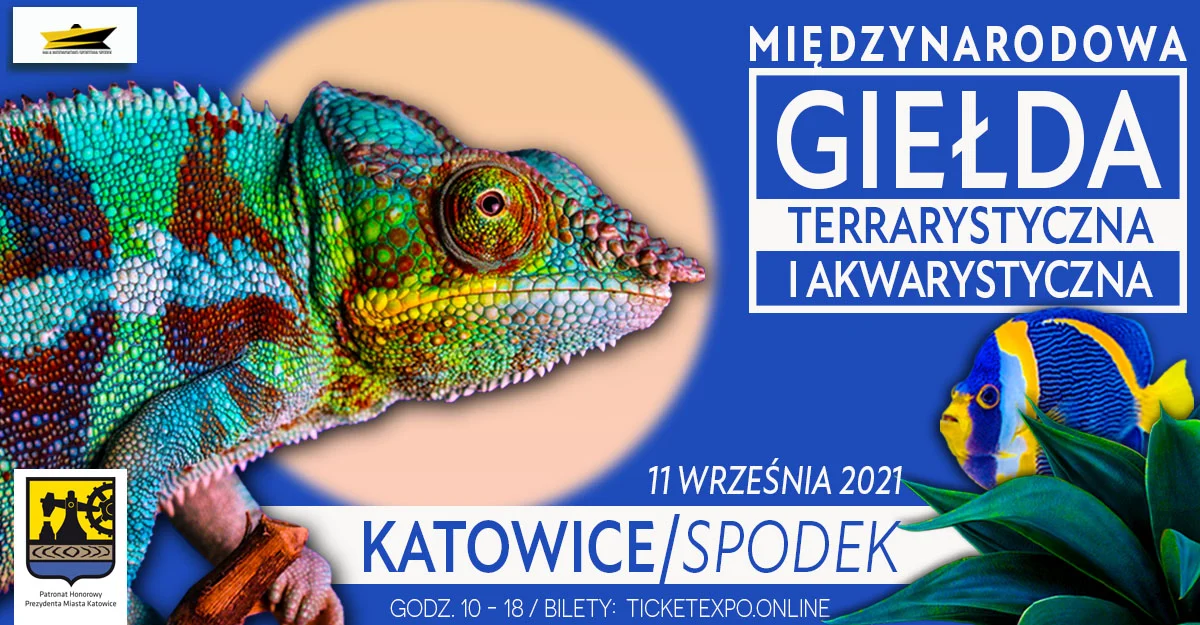 Międzynarodowa Giełda Terrarystyczna i Akwarystyczna już wkrótce w Katowicach