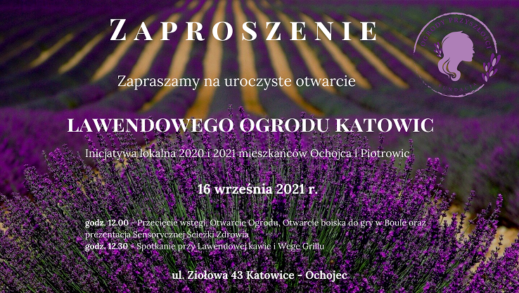 Spotkajmy się w lawendowym ogrodzie