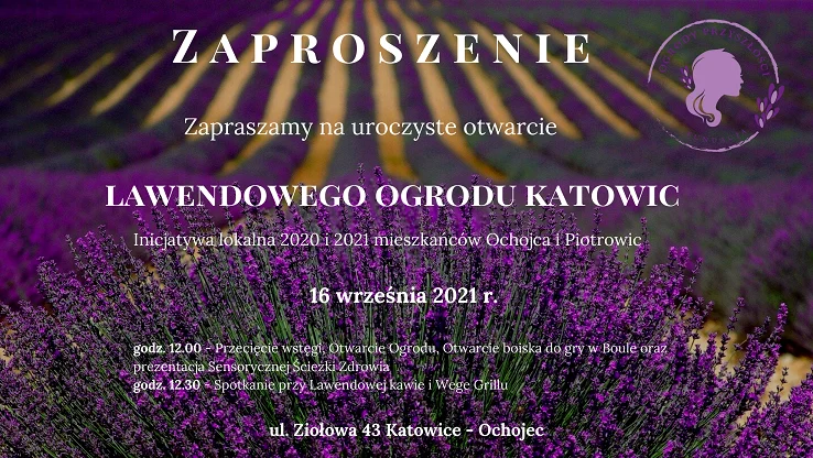 Spotkajmy się w lawendowym ogrodzie