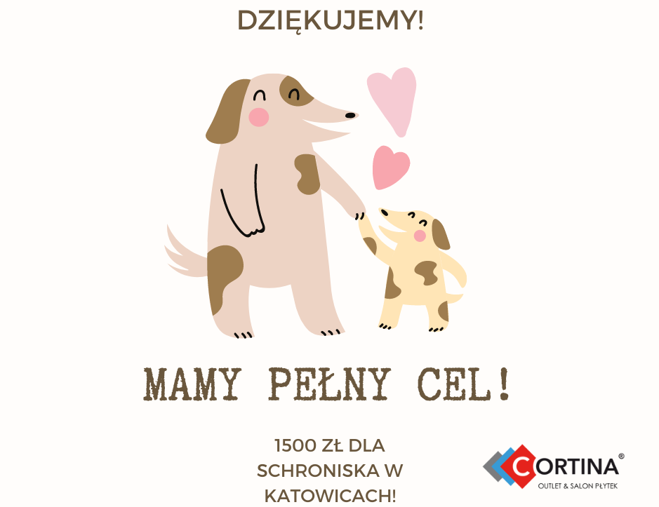 Akcja „Lajk” zakończona sukcesem! Katowickie schronisko otrzyma pokaźną kwotę