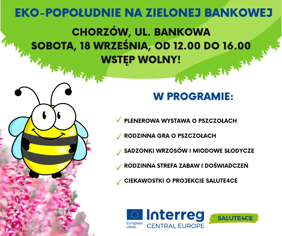Eko-popołudnie na Zielonej Bankowej