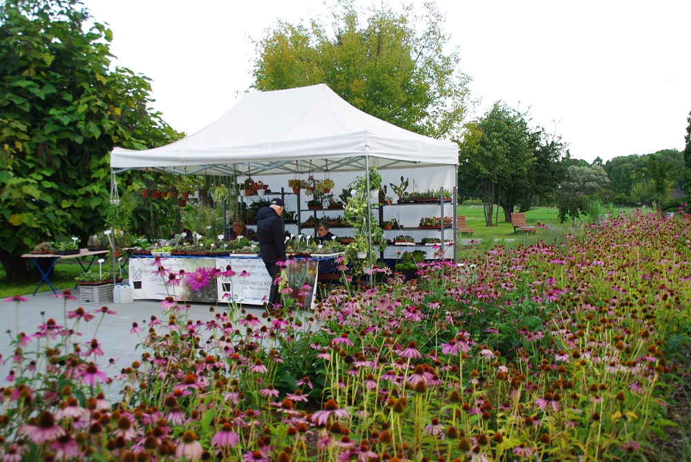 Ruszył Parkowy Kiermasz Kwiatowy. Co zaplanowano dla uczestników na kolejne dni?