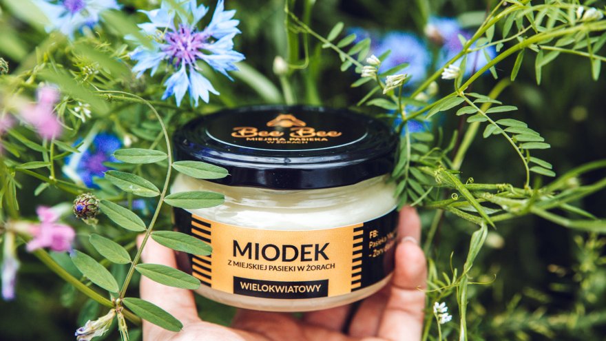 Piknik rodzinny z okazji zamknięcia Miejskiej Pasieki Bee Bee