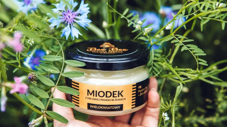 Piknik rodzinny z okazji zamknięcia Miejskiej Pasieki Bee Bee