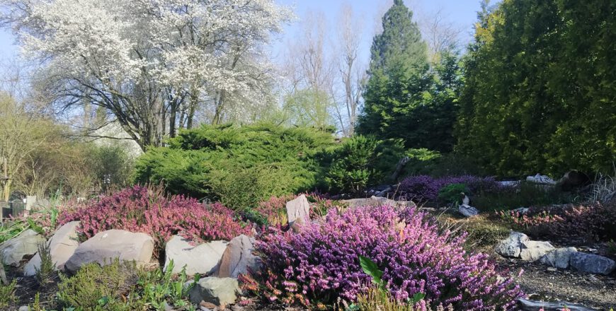 Doceniono działania proekologiczne Miejskiego Ogrodu Botanicznego