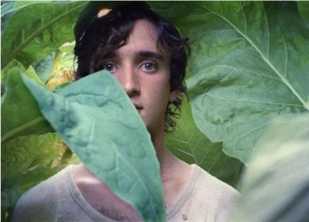 Projekt “Bella Italia” w Miejskiej Bibliotece Publicznej