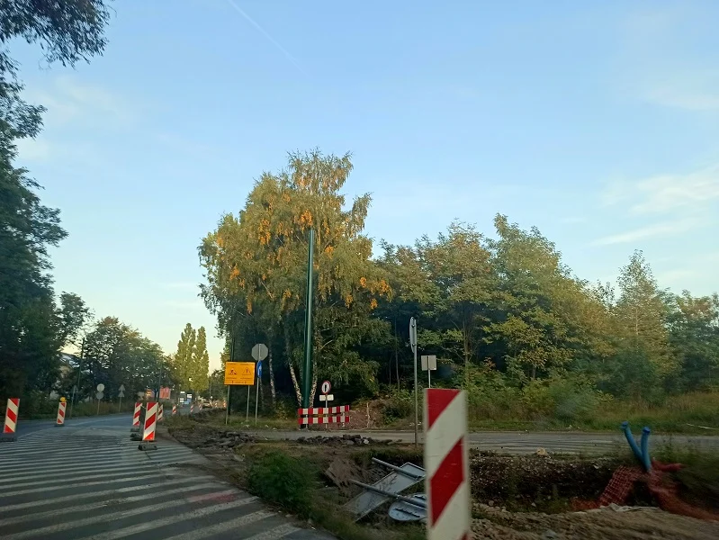 Zmiana organizacji ruchu na ul. Asfaltowej. To efekt kolejnego etapu prac na torowisku