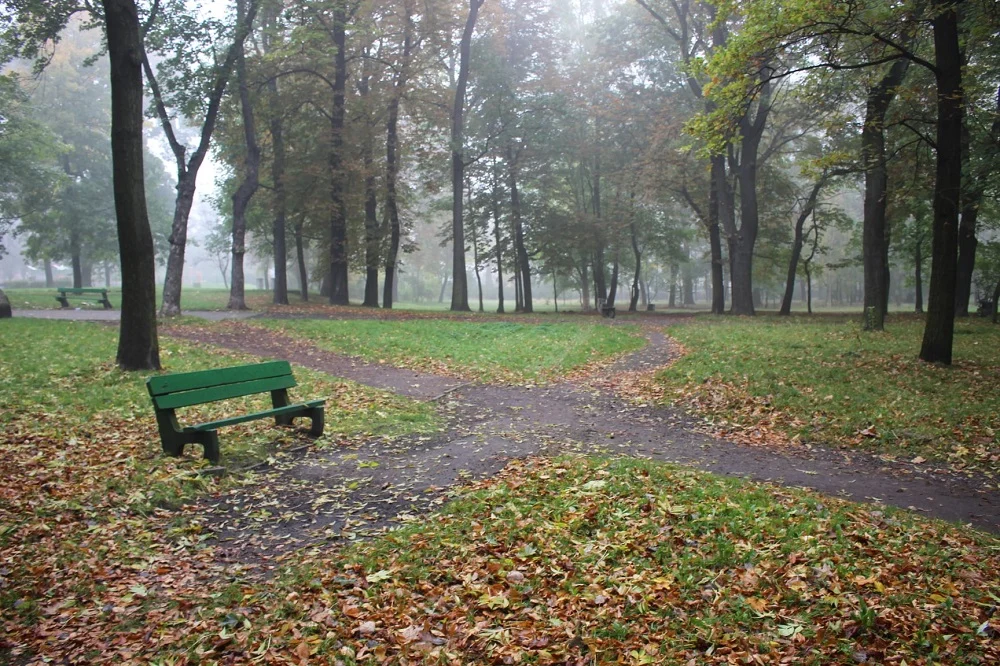 Dwa nowobytomskie parki: Dworski i przy ul. Hallera zostaną odnowione