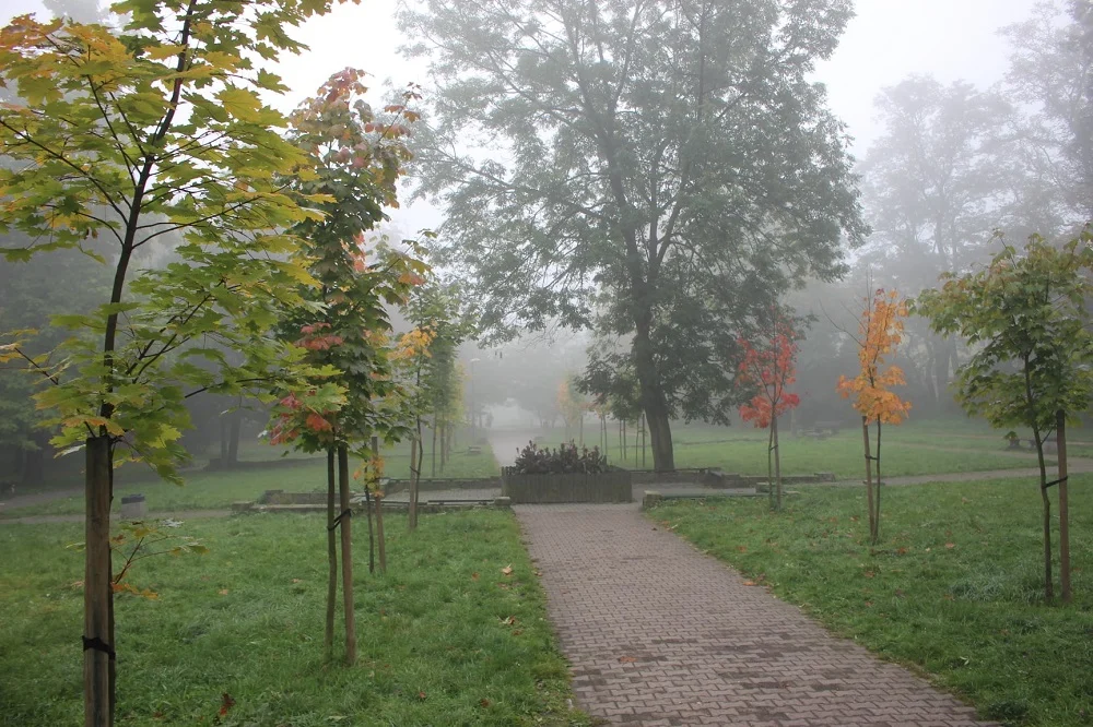 Dwa nowobytomskie parki: Dworski i przy ul. Hallera zostaną odnowione