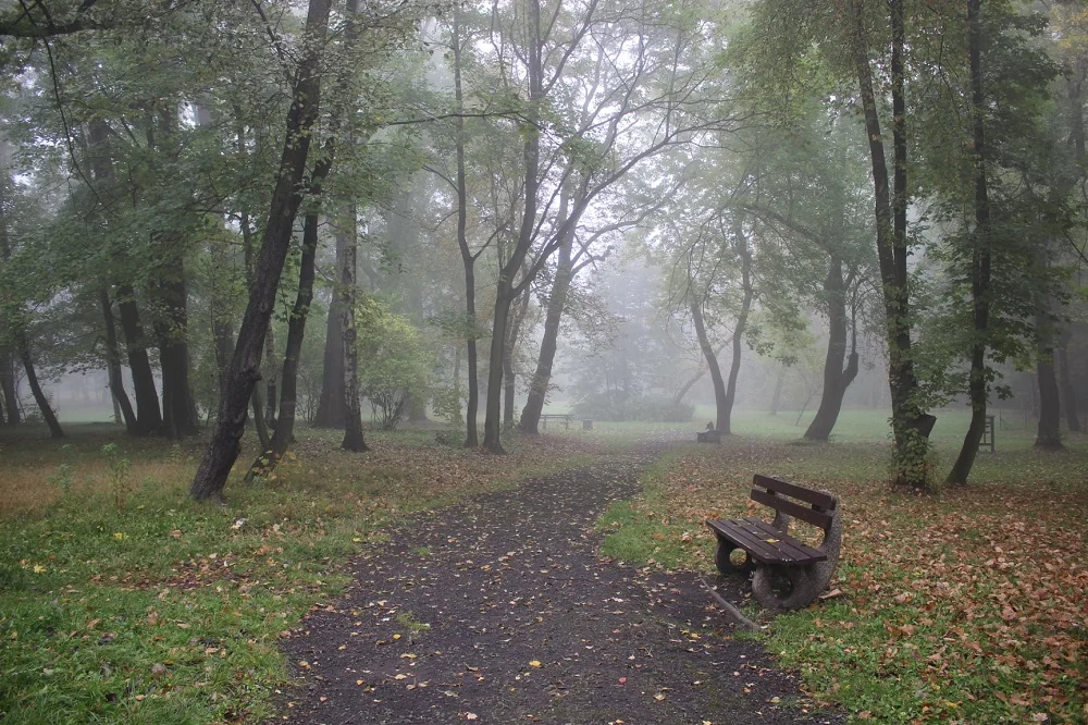 Dwa nowobytomskie parki: Dworski i przy ul. Hallera zostaną odnowione