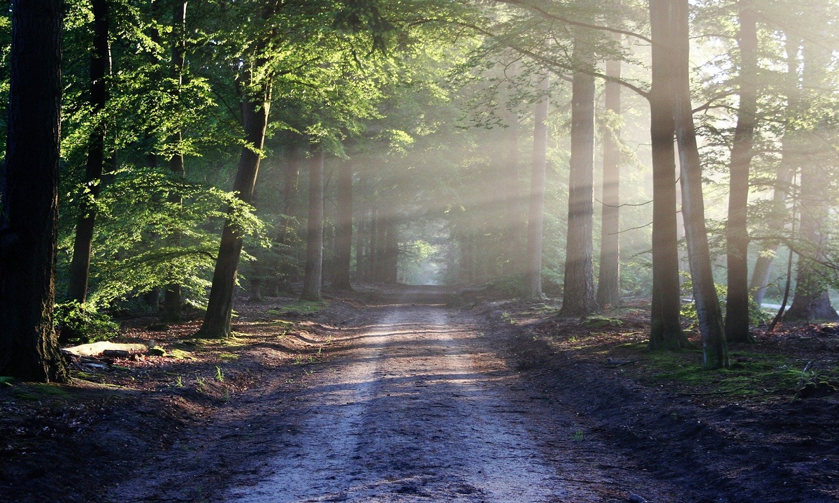 Uwaga! Rozpoczyna się sezon na polowania