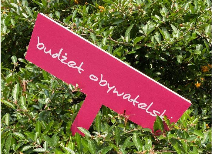 Znane są wyniki VIII edycji Budżetu Obywatelskiego 2022