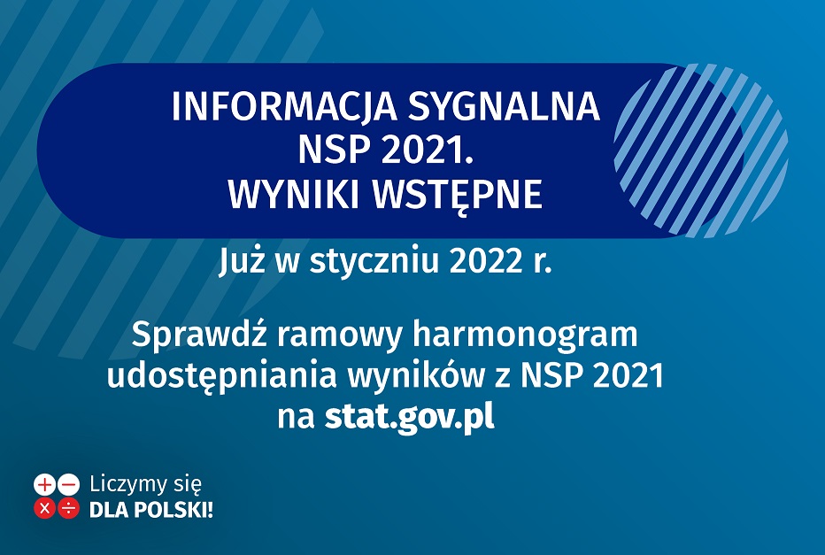 W Narodowym Spisie Powszechnym spisało się 96,31% mieszkańców