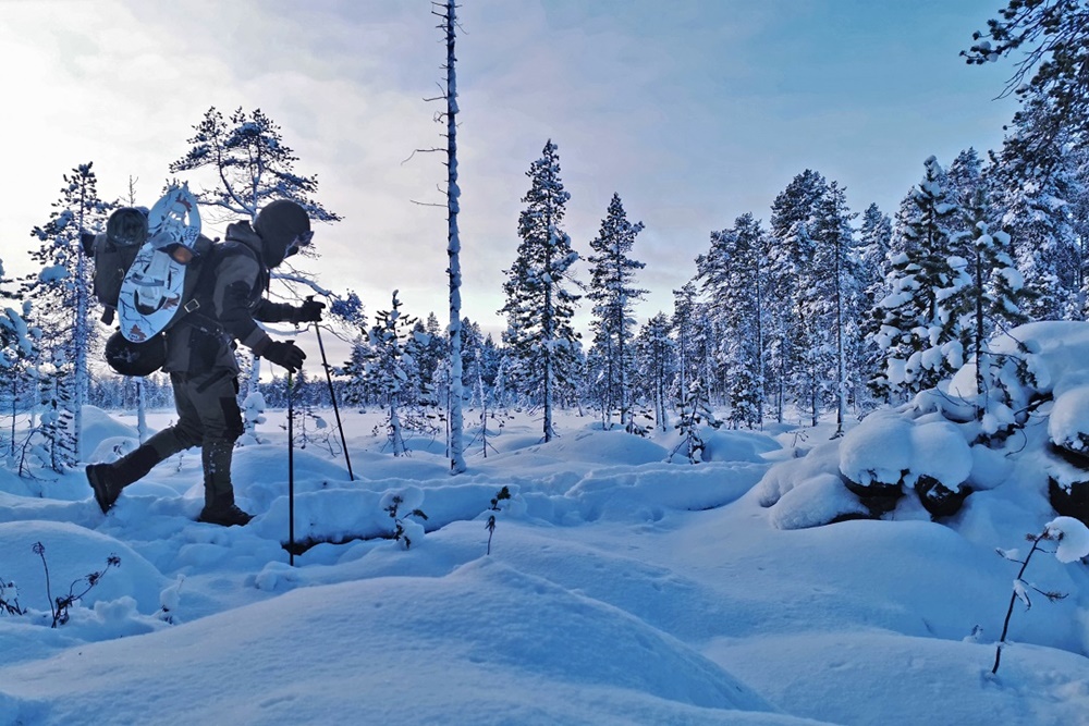 Duch arktycznego nomady - slajdowisko w rybnickim Żółtym Młynku