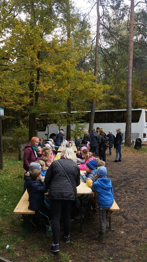 Przedszkolaki z Rybnika sadziły drzewa