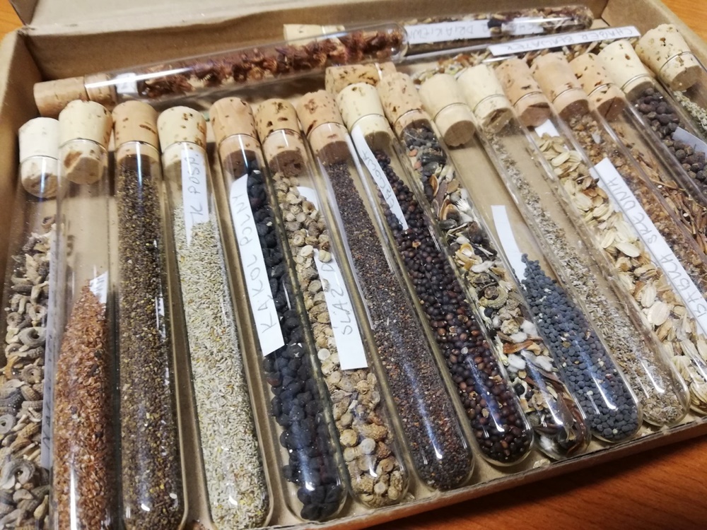 Kolejna łąka kwietna w Bytomiu