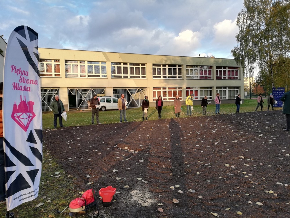 Kolejna łąka kwietna w Bytomiu