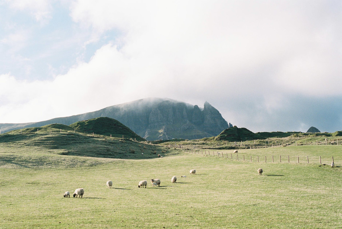 Stara Morawa – apartamenty, w których wypoczniesz 