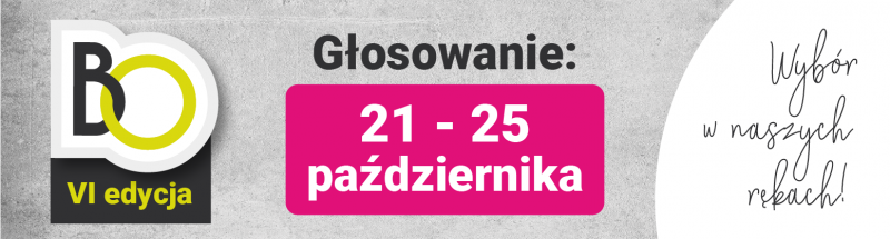 VI Edycja Budżetu Obywatelskiego. Niedługo rusza głosowanie