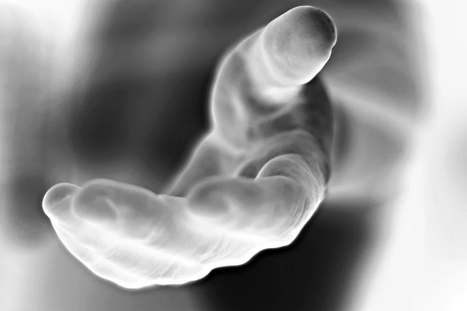 Nagroda za działalność charytatywną