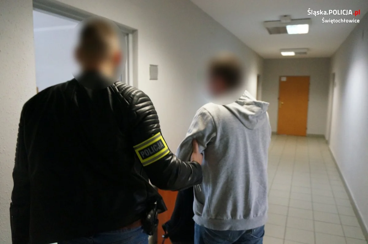 Kryminalni z Świętochłowic zlikwidowali plantację marihuany