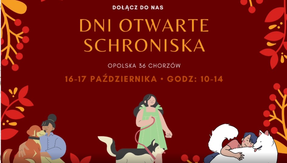 Dni otwarte w chorzowskim schronisku!