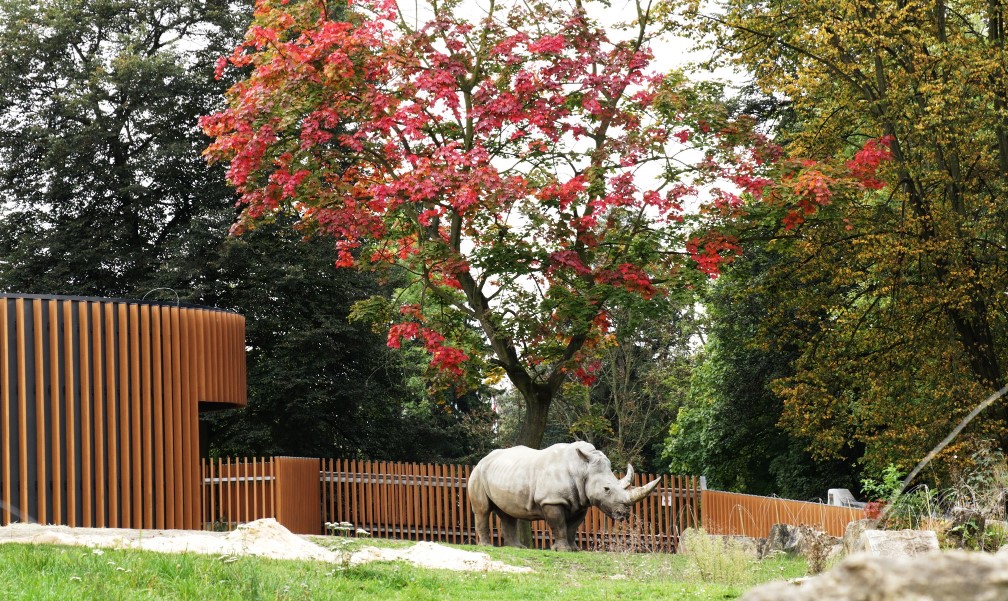 Śląski Ogród Zoologiczny zmienia zasady funkcjonowania na jesień. Co z 1 listopada?