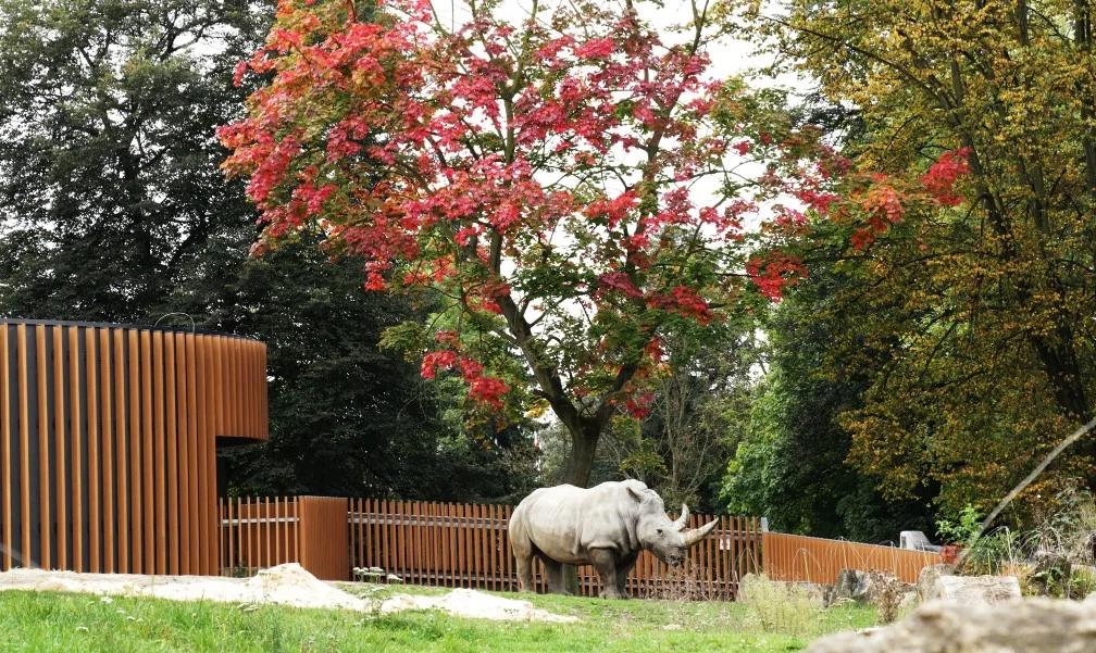 Śląski Ogród Zoologiczny zmienia zasady funkcjonowania na jesień. Co z 1 listopada?