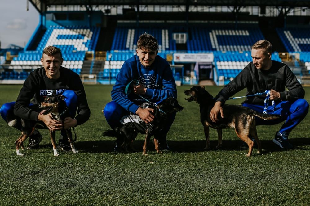 Nie kupuj, adoptuj! Piłkarze Ruchu Chorzów promują adopcję zwierząt ze schroniska