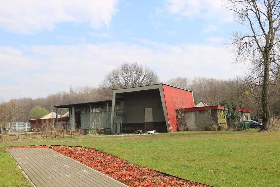 Chorzów: Zamiast starej żyrafiarni w ZOO będzie las deszczowy