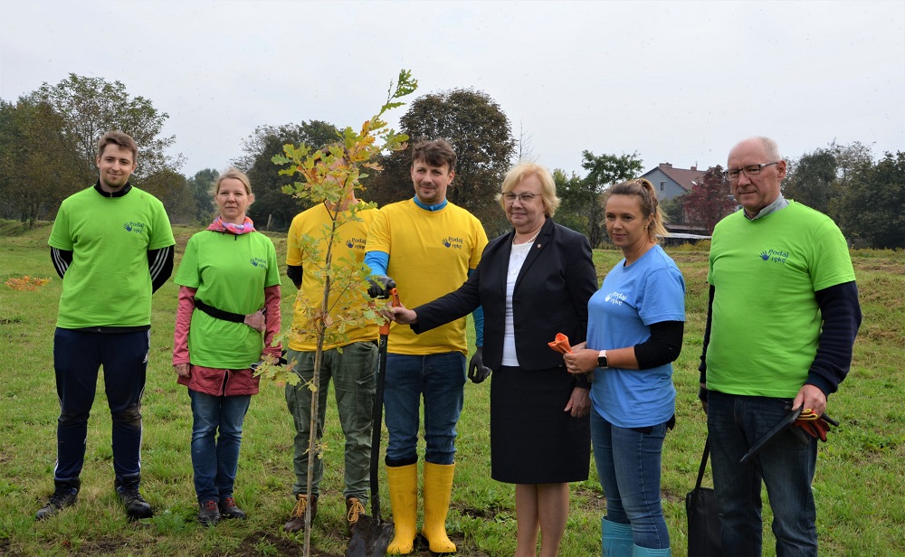 W Maciejowie zasadzono sto nowych dębów