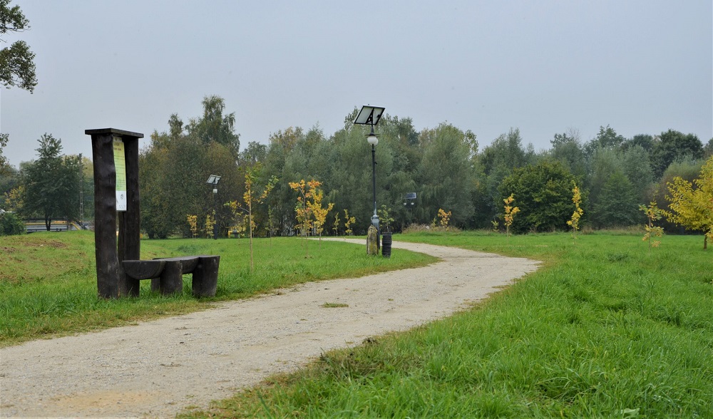 W Maciejowie zasadzono sto nowych dębów