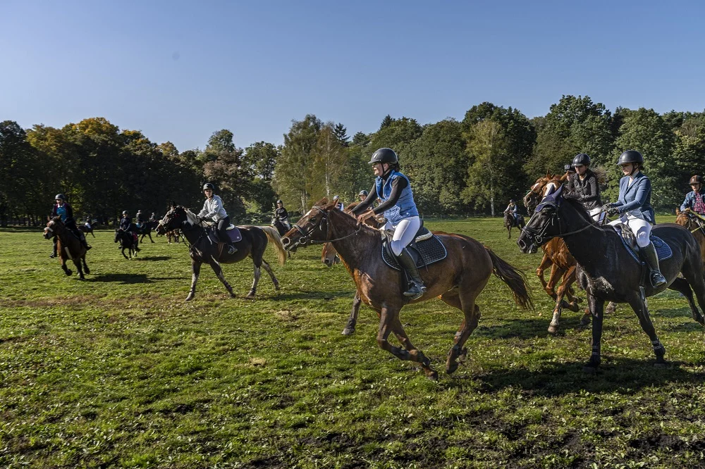 Podsumowanie sezonu jeździeckiego w Zabrzu