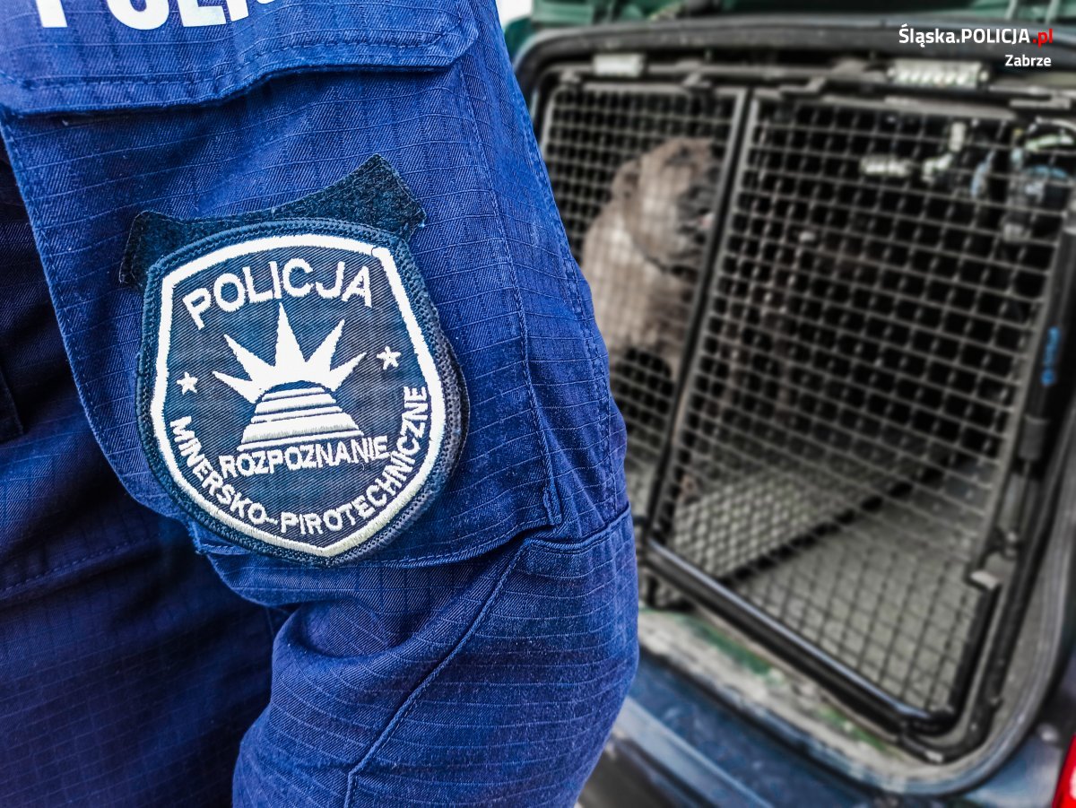 Ładunek wybuchowy w CH Platan? To tylko ćwiczenia