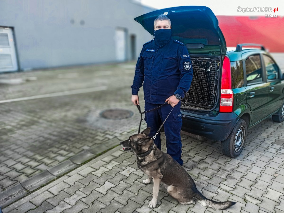 Ładunek wybuchowy w CH Platan? To tylko ćwiczenia