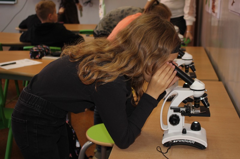 "Leśny zakątek" w Szkole Podstawowej nr 14 już otwarty